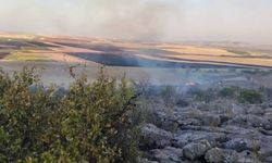 Adıyaman’da Korkutan Yangın! 20 Hektarlık Alan Alevlere Teslim Oldu