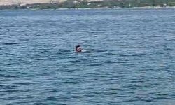 Elazığ’dan Malatya’ya Yüzerek Geçti! 3 bin 300 Metrelik Dikkat Çeken Yolculuk...