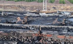 Elazığ’da 10 Günlük Umut Yangında Kül Oldu! 3 Gebe İnek Telef Oldu