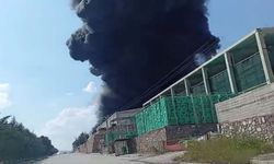 Elazığ’da Korku Dolu Anlar! Fabrikada Yangın Çıktı, Çok Sayıda Ekip Sevk Edildi