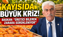 Kayısıda Büyük Kriz! Başkan: "Üretici Bilerek Zarara Sürükleniyor"