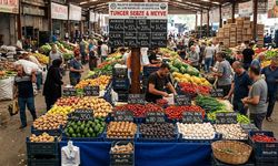Malatya Halinde Fiyatlar Dudak Uçuklattı! 1 Kilosu Tam 350 TL’ye Çıktı...