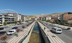 Malatya’da Yeşil Dönüşüm Hızlandı! Binlerce Ağaç Toprakla Buluştu