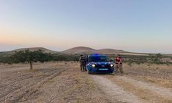 Fıstık Sezonunda Güvenlik Alarmı! Jandarma Bahçelerde Nöbette