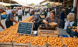 Malatya’da Kayısıda Hareketlilik! Kilogramı 465 TL’ye Kadar Çıktı