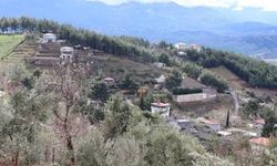 Malatya’da Bağ Evi Yapmak İsteyenleri İlgilendiren Düzenleme: Arazi Şartı Düşürüldü