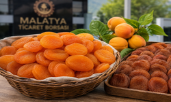 Kayısı Satacaklar Dikkat! Malatya'da Yeni Fiyat Listesi Açıklandı