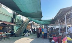 Kayısı Satılacak, Malatya’da Çark Dönecek! Gözler Yeni Sezonda