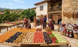 Kayısıdan Domatese Kadar Herkes Bunu Yapıyor! Evde Meyve ve Sebze Kurutmanın Yolları