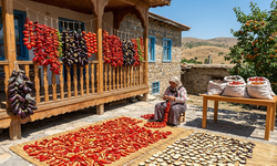 Kurutmalık Yapanlar Bu Hataya Düşüyor! Kışlık Sebzeler Neden Küfleniyor?
