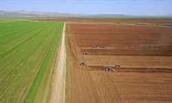 Malatya’da Tarımsal Girdi Maliyetleri Gündemde: Haziranda Yıllık Artışta!
