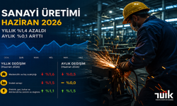 Sanayi Üretiminde Beklenmedik Düşüş: Haziran Verileri Açıklandı