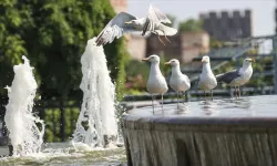 Malatya’da Eyyam-ı Bahur Alarmı!