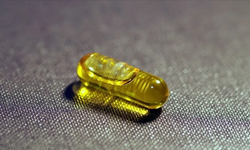Malatya’da D Vitamini Uyarısı: Bilinçsiz Kullanım Sağlığı Tehdit Edebilir!