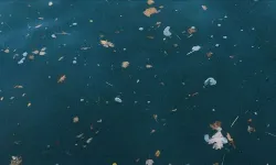 Sürgü Baraj Gölü’nde Mikroplastik Tespit Edildi!