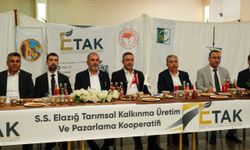 Malatya Kayısısında Yeni Tartışma! Baskil’den Ayrı Marka Ve Tescil Hamlesi..