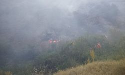 Pütürge'deki Yangında 20 Araç ve 55 Personel Seferber Oldu