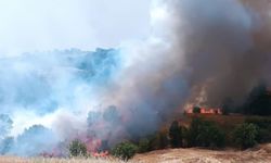 Pütürge’de Orman Yangını! Alevlere Havadan ve Karadan Müdahale
