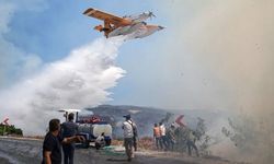 Orman Yangınlarında 70 Şüpheli Tespit Edildi: 16 Kişi Tutuklandı!