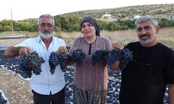 Malatya’da Altın Değerinde Üzüm! Kilosu 600 TL’den Yok Satıyor...