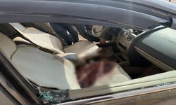 Aracında Öldürülmüştü! Ali Haydar Çoban Davasında Yeni Karar