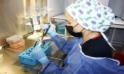Kanser Tedavisinde Yeni Dönem: Hastanın Kendi Savunma Hücreleri Çoğaltıldı