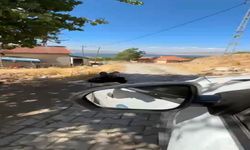 Elazığ’da Yaşlı Adam Ağaca Zincirlenmiş Halde Görüntülendi!