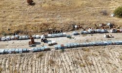 Malatya’da Bu Balı Bulmak Artık Çok Zor! Hasat Biter Bitmez Tükendi