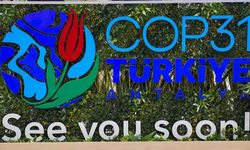 Türkiye'nin İklim ve Yatırım Vizyonuna Uluslararası Övgü!