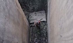 Dağ Keçisi İçin Seferberlik! Eski Havuza Düştü, Ekipler İple Kurtardı