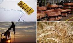 Malatya’da Altın ve Emtia Piyasasında Hareketlilik! Fed Kararı Sonrası Fiyatlar Ayrıştı