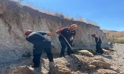 Toprak Kayması Hayvanları Toprağa Gömdü: 6 Küçükbaş Telef Oldu
