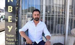 Malatya’nın O İlçesinde Kayısı Şaşırdı! Eylül Sonunda Yeniden Çiçek Açtı