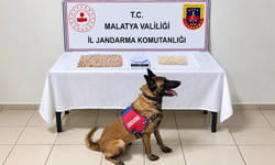 Malatya’da Uyuşturucu Baskını! Evden 1 Kilo 80 Gram Metamfetamin Çıktı