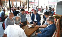 Malatya Kayısısında Fiyat Tepkisi: “Bu Rakamlarla Ne Çiftçilik Ne Ticaret Sürdürülebilir”