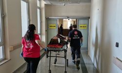 Tütün Tarlası Dönüşü Kaza! Römork Devrildi, 8 Yaralı