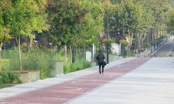 Türkiye Yeşil Kampüslerde Avrupa’nın Zirvesinde! İşte Sıralamadaki Üniversiteler