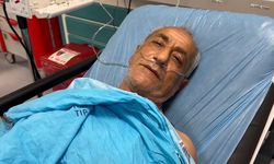 Arıların Saldırısına Uğradı, Ölümden Döndü! O Anlar Kamerada