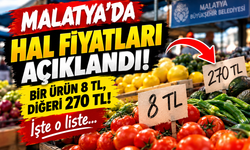 Malatya’da 8 TL’den 270 TL’ye! Haldeki Fiyatlar Dikkat Çekti