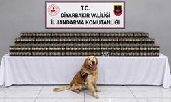 Diyarbakır’da Jandarma Harekete Geçti! Ele Geçirilenler Dikkat Çekti