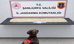 Şanlıurfa’da Uyuşturucu Baskını! Evde Bakın Ne Bulundu