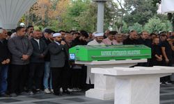 Ağaca Çıkmıştı, Kurtarılamadı! 56 Yaşındaki Öğretmen Hayatını Kaybetti