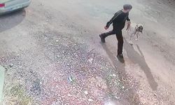 Siverek’te İki Kişi Kangal Köpeğini Çaldı: O Anlar Kamerada!