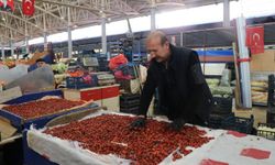 Dikenlerin Arasında Saatlerce Uğraşıyorlar! Kışın Tüketmek İçin Topluyorlar