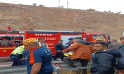 Elazığ-Diyarbakır Yolunda Feci Kaza! Tır Devrildi, Hayvanlar Telef Oldu