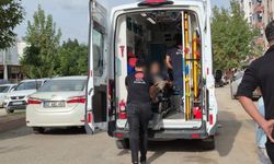 Adıyaman’da Tarım Aletleriyle Saldırı! 1 Kişi Yaralandı