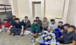 Şanlıurfa’da Dikkat Çeken Operasyon: 61 Göçmen Yakalandı