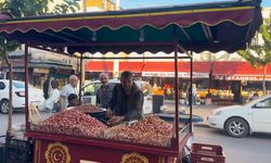 Şanlıurfa’da Fıstık Fiyatları Dikkat Çekti! TEKNOFEST Satışları Artırdı