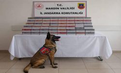 Mardin’de Kaçakçılık Operasyonu: 8 Milyon TL Değerinde Ürün Ele Geçirildi