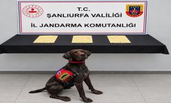 Şanlıurfa’da 2 Bin 970 Hap Ele Geçirildi! 2 Şüpheli Gözaltında